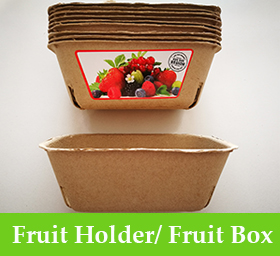 Fruit Holder/ Fruit Box